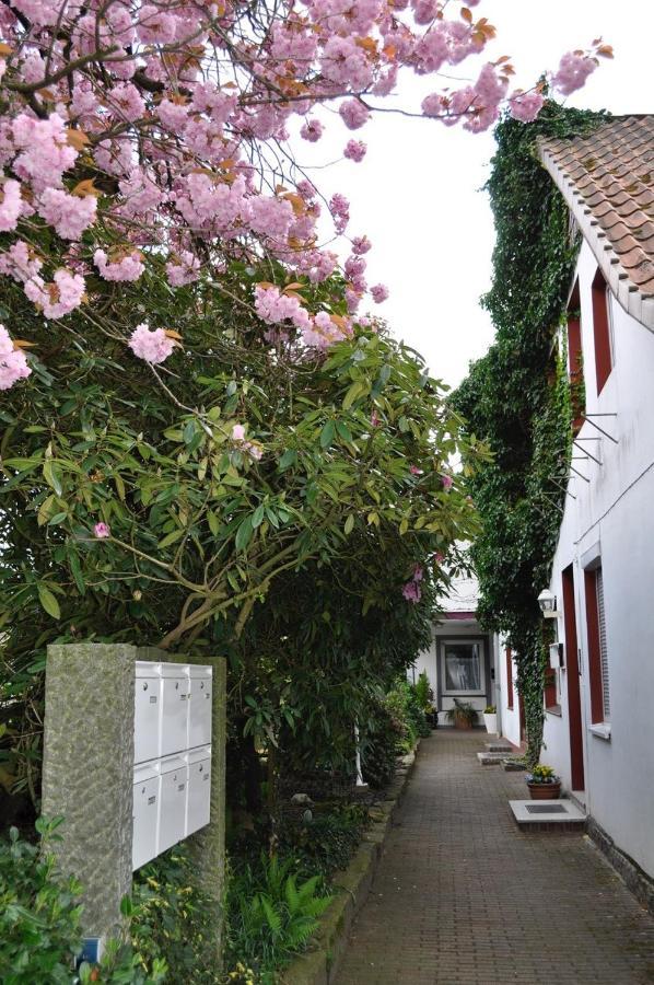 Ferienwohnung Suedpark Schneverdingen Exterior foto